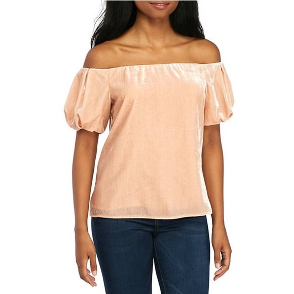 🎁 WAYF Lindon Off-the-Shoulder Velvet Blouse - Picture 1 of 8